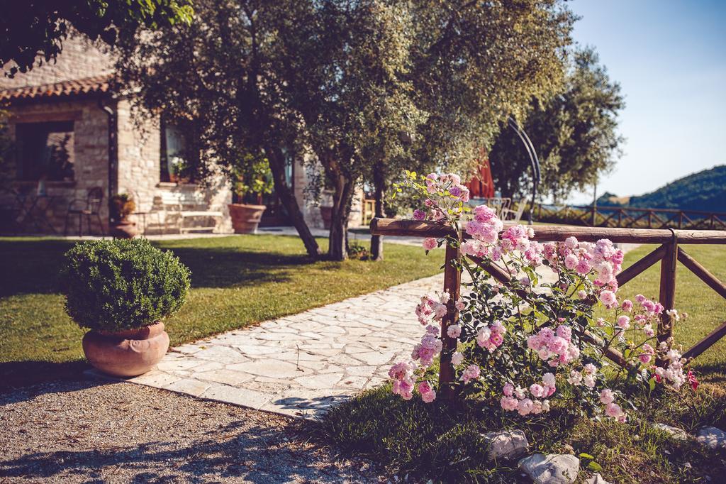 Agriturismo Casal San Sergio ฟอสซอมโบรเน ภายนอก รูปภาพ