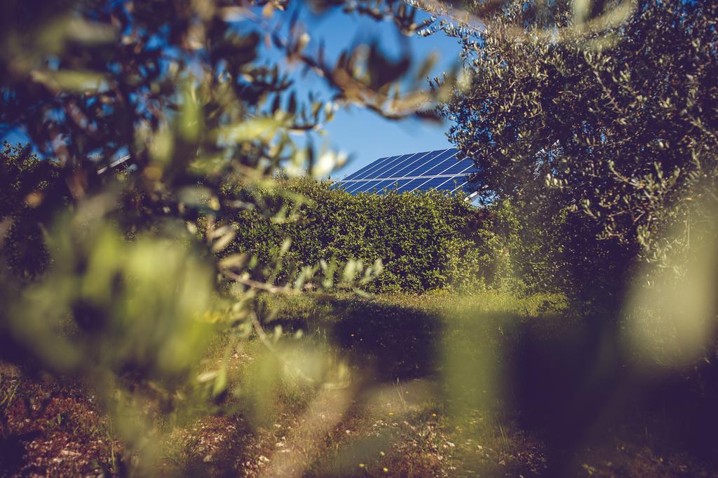 Agriturismo Casal San Sergio ฟอสซอมโบรเน ภายนอก รูปภาพ