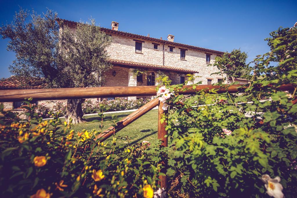 Agriturismo Casal San Sergio ฟอสซอมโบรเน ภายนอก รูปภาพ