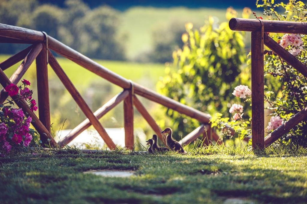 Agriturismo Casal San Sergio ฟอสซอมโบรเน ภายนอก รูปภาพ